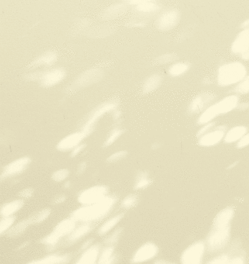 7 Beauty Products That Actually Deliver What They Claim