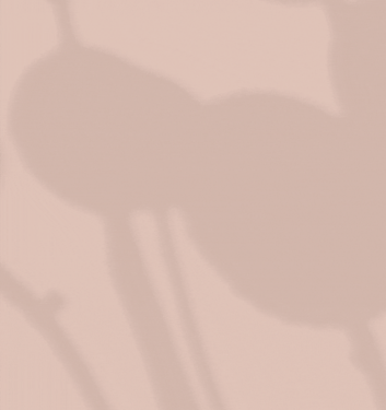 Every Major Beauty Brand We Like To Call Perfect