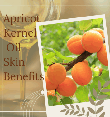 Apricot Kernel Oil for Skin Benefits: Nature’s Secret to a Healthy Glow