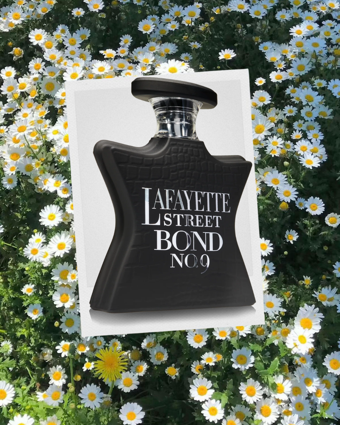 Want the Bond No. 9 Lafayette Street Scent for Less? Try These 3 Dupes