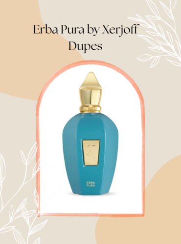 Best Xerjoff Erba Pura Dupes: 3 Affordable Alternatives Worth Trying