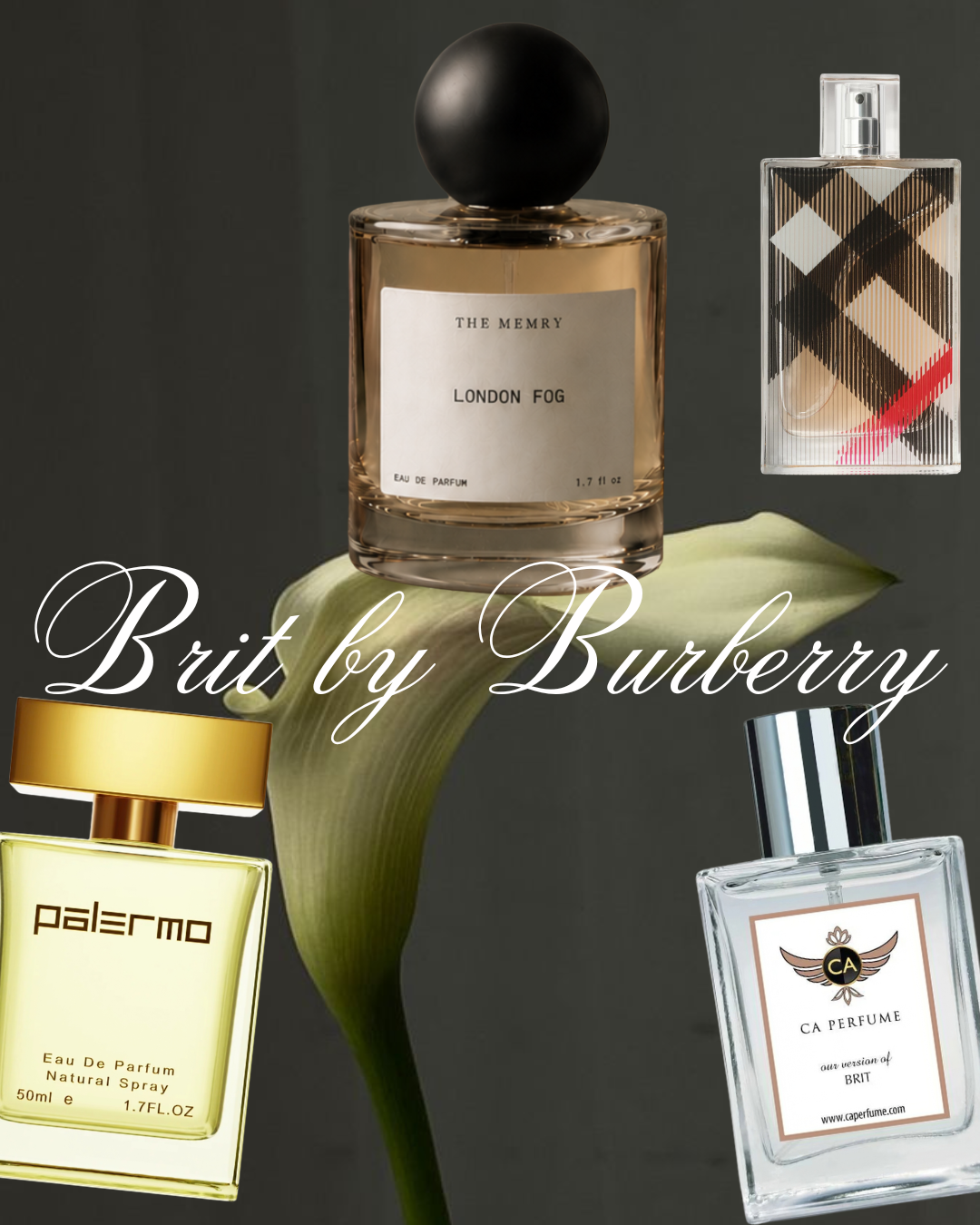 Looking For The Best Burberry Brit Dupe? Try These 3 Alternatives